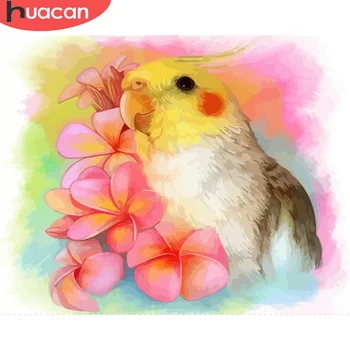 

HUACAN DIY Paint By Numbers Bird Drawing On Canvas Hand Painted Painting Art Gift Coloring By Number Animal Kits Home Decor