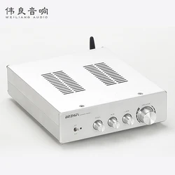 Breeze&Weiliang Audio Tpa3255 with Bluetooth 5.0 High Power Stereo HIFI Digital Home Amplifier 300W * 2