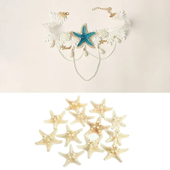 

HOT 13 Pcs Starfish Decorations: 12 Pcs Starfish Sea Star Shell & 1Pcs Starfish Necklace Bohemia Wedding Flower Head Wreath