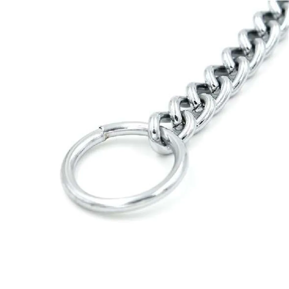 Metal-Stainless-Steel-Dog-Collar-Chain-Double-Row-Chrome-Plated-Choke-Training-Show-Collar-Adjustable-Safety (8)