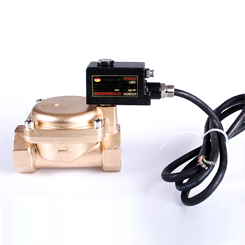 DN32 High Pressure 16 kg Explosion Proof Solenoid Valve Brass IP65 Normally Closed AC220V DC24V For Water Oil Air | Обустройство дома