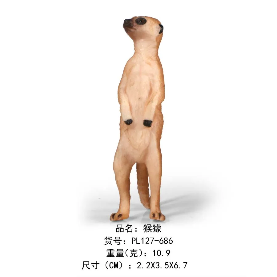 猴獴-686
