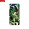 Phone Bags & Cases