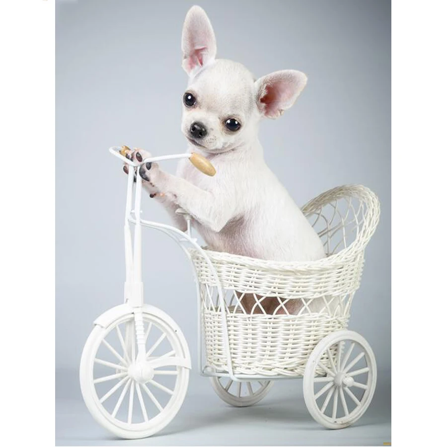 HTB17oRcVQPoK1RjSZKbq6x1IXXaj