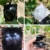 5шт Растение Укоренение Мяч Прививка Укоренение Растущая Коробка Селекция Чехол для Садового Растения высокое давление размножение коробка Саженец