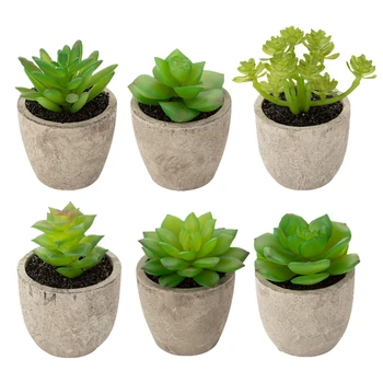 

6Pcs Creative Microscapes Pulp Basins Simulation Succulent Plants Pots