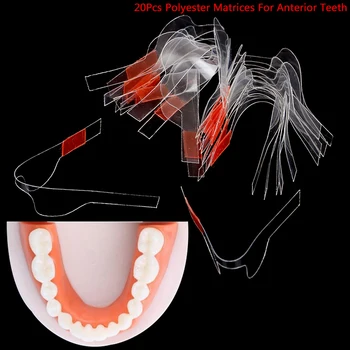 

20Pcs Self-Adhesive Sectional Contoured Matrix Orthodontic Matrice Tooth Tools Accessories