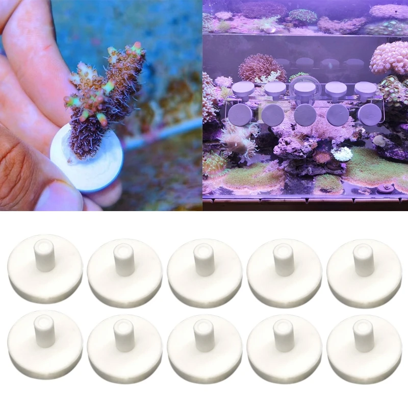 10pcs Pure White Ceramic Coral Frag Disks T-Shape Coral Base Support Aquarium Coral Reef Frag Fish Tank Supplies