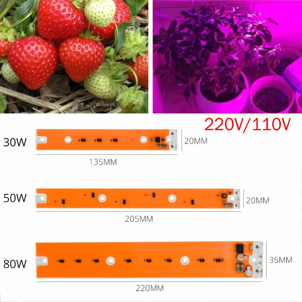 

30W 50W 80W Full Spectrum LED Grow Flood Light COB LED Grow Lamp for Outdoor Plant Hydroponic Vegetable Waterproof Growth Lamp