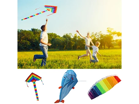

Colorful Rainbow Kite 3D Big Dolphin Kite Outdoor Sport Toys Flying Children Stunt Kite Surf Without Control Bar and Line Tool