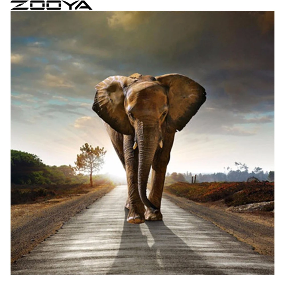 HTB1Qng0biYrK1Rjy0Fdq6ACvVXa2