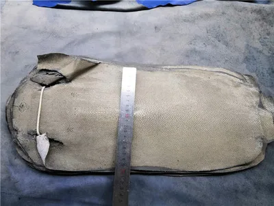 Полированная натуральная редкая Специальная кожа натуральный жемчуг рыбий кожа оранжевый дьявол кожа, большой размер Manta Ray рыбья кожа для сумки ремень diy - Цвет: B