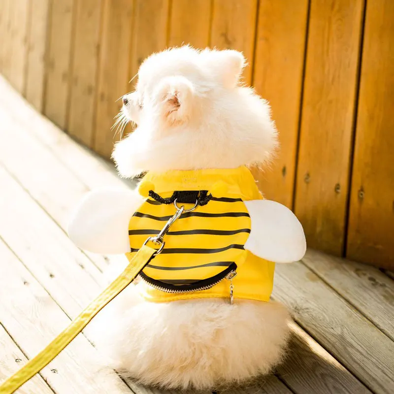 Bee Harnesses for Small Dogs & Puppies Purrfect Pet