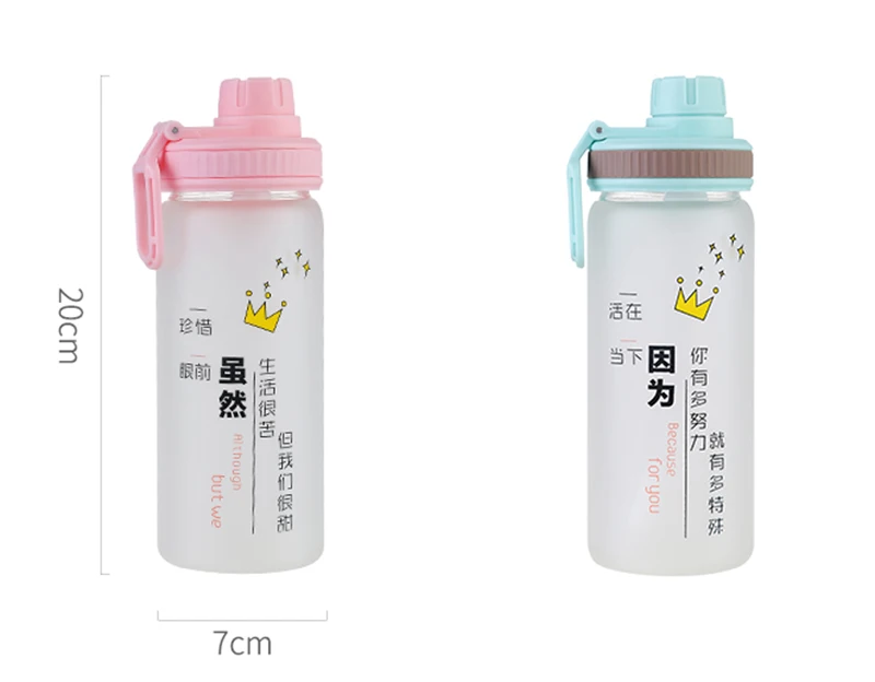 Glass Water Bottle Straw Portable Scrub Glass Bottles Leakproof Sports Outdoor 540ml Creative Bottles My Water Bottle