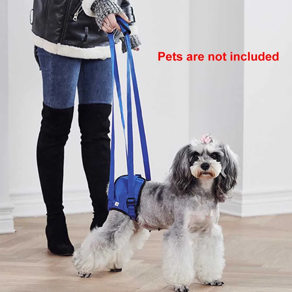 Pet Supplies Disabled Dog Support Walking Assist Harness Portable Belt Elastic Mat Hind Limb Carrying Rehabilitation Exercise