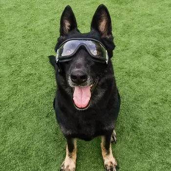 

Pets Dog Sunglasses UV Protection Fashion Glasses Pet Eyewear Adjustable Pet Dogs Cats Plastic Sunglasses Swimming SkatingHOT1