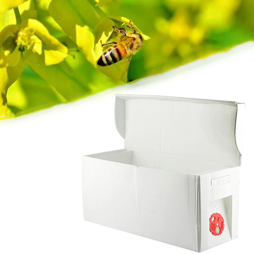 

Foldable Honey Beehive Frames Beekeeping Box Bee Hive King Pollination Box Bee Mating Copulation Box Beekeeping Equipment