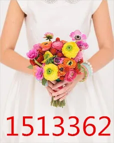 

Apparel Accessories / Garment Accessories & Textiles / Mesh Garment Fabric BOB