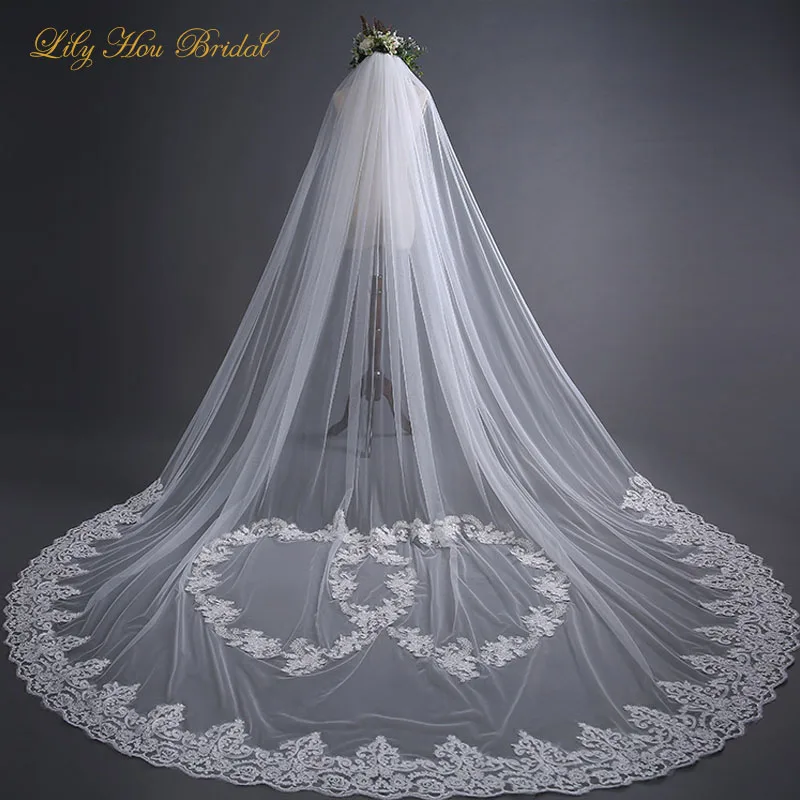 

3 Meter Long One Layer Bridal Veils Heart Shaped Lace Appliques Wedding Veil for Brides