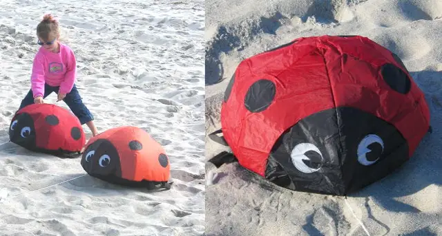 KITE landscape ladybug soft inflatable kite pendant for kids and audlts outdoor fun toys for kite festival 5