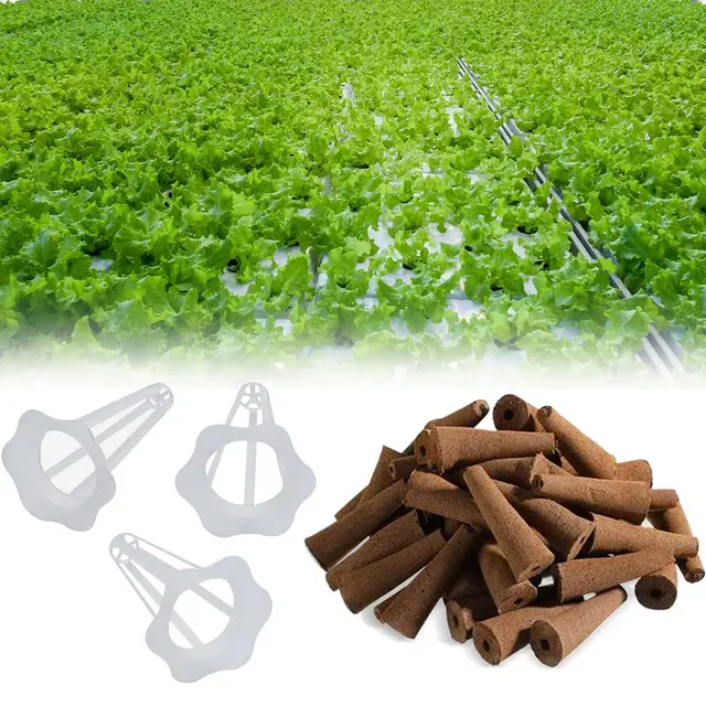 Seed Pod Kosarak - Növényi Vetőmag -Starter Készlet Hidroponikus Növekvő Szivacsok Termesztése A Indulásához (50 P - Image 3