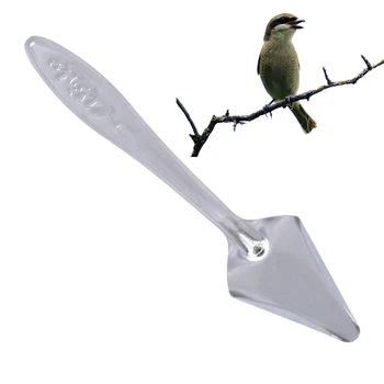 

2019 Stainless Steel Spoon Milk Powder Feeding Pet Parrot Chick Spoon Funny Practical Feeding Spoon Bird Parrot Supplies