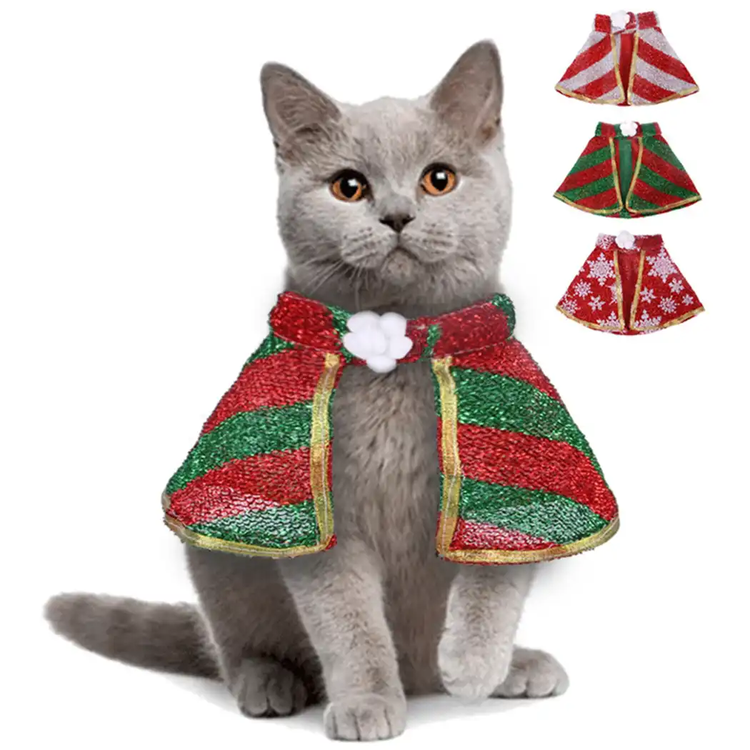 kitten christmas outfit