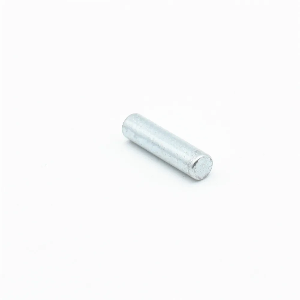 

Micro Precision Magnet Cylinder Diameter 2.5 0.098'' Small Round Disc 2.5x10 mm Sensor Mini Magnets Teaching Study 200pcs