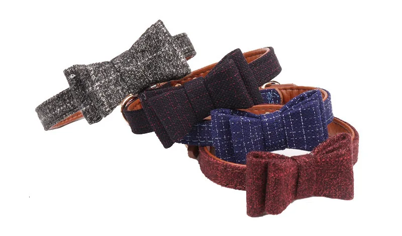 dog collar-