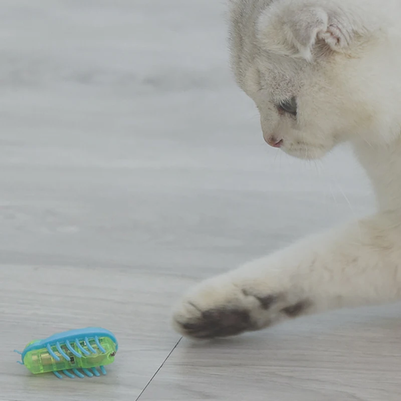 

Hot New Mini Electric Dog Cat Pet Toy Interactive Cute Ladybird Beetle Shape Cat Toys Walking Insect Toys Supplies For Cat Dogs