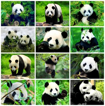 

HUACAN 5D DIY Diamond Painting Full Square Drill Panda Animal Home Decoration Embroidery Picture Handcraft Art Kits