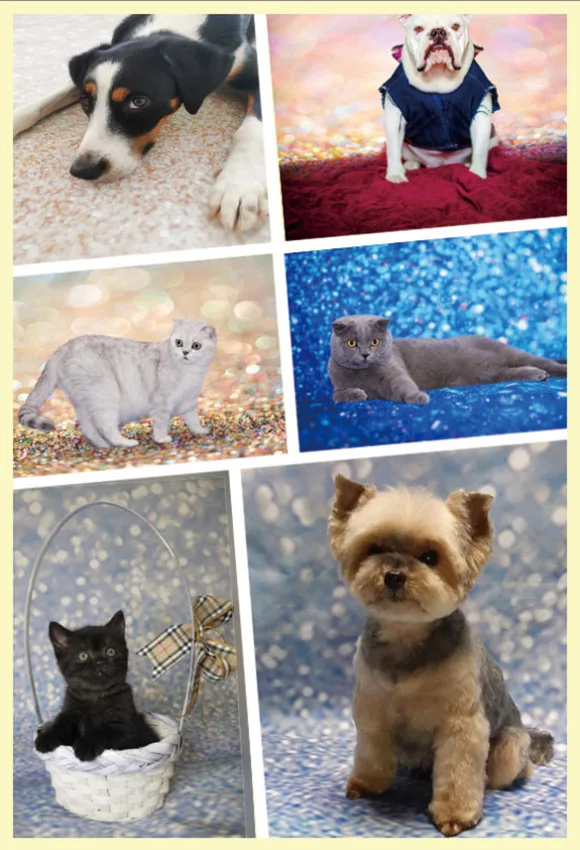 Mehofond Photography Background Shiny Polka Dot Light Bokeh Wedding Birthday Party Child Love Photocall Backdrop Photo Studio