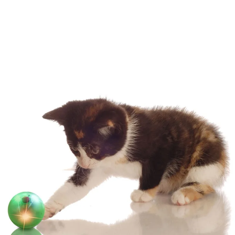 2020 USB Rechargeable Electric Rolling Ball Toys For Cats Interactive