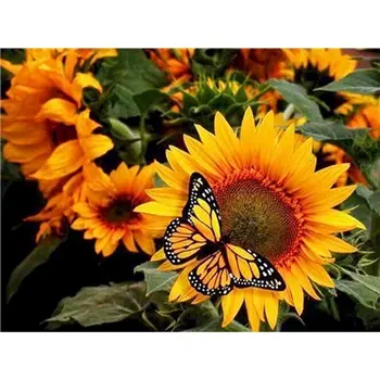 

GATYZTORY Frameless Sunflower Frame Painting By Numbers Canvas Flower Colouring Handpainted Diy Gift Home Wall Decor 60×75cm