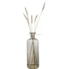 Ins Nordic Glass Transparent Smoke Gray Bubble Vase Home Living Room Table Decoration Decoration Shooting Props 5