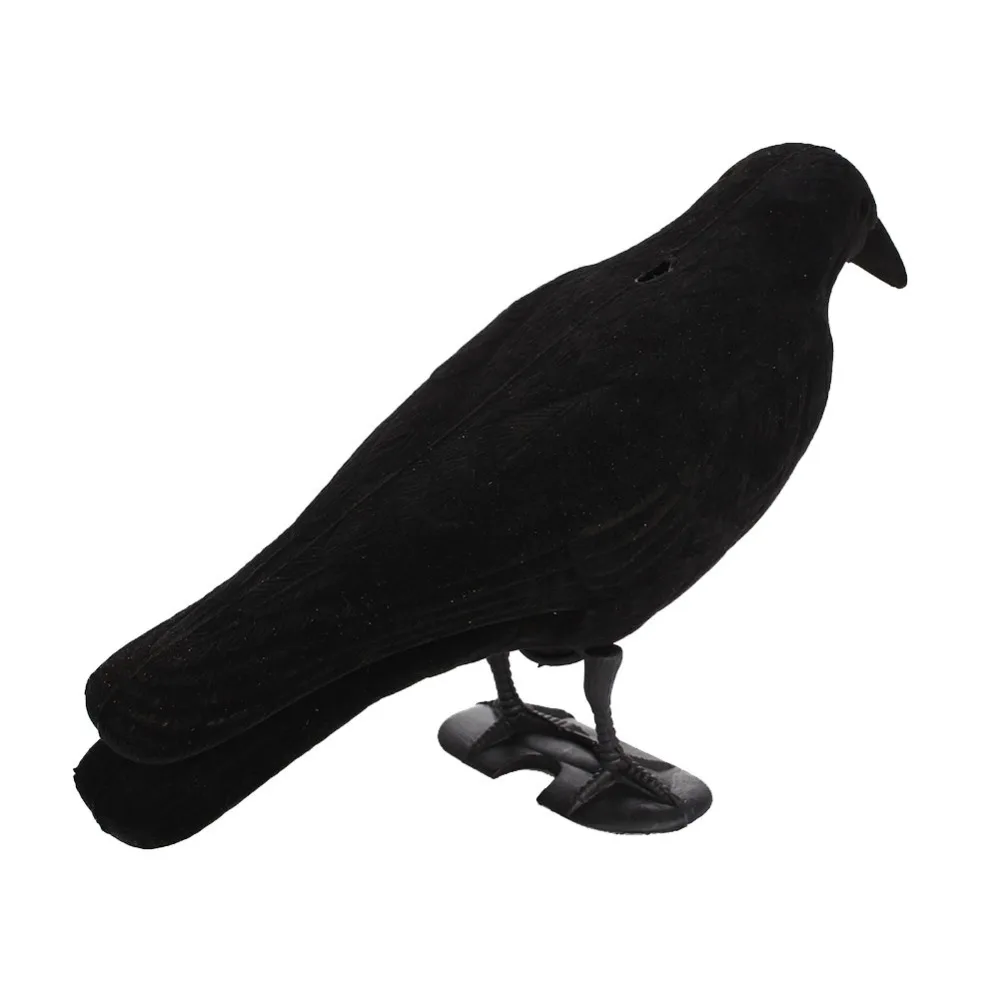 407093_d5fdc6b1598348a2947c4b838ca50d92