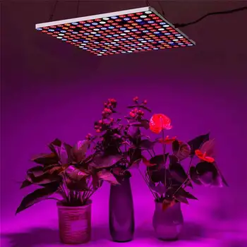 

Shape Transformable LED Grow Light Growing Lamps 85-265V Full Spectrum 10 Level Dimmable On Off Timer Plant for Indoor Lantern