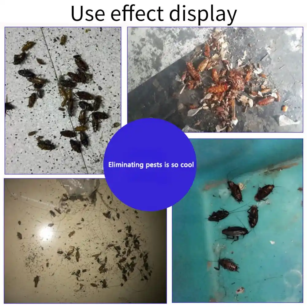 20pcs Kill Cockroach Medicine Chalk Capture Repellent Pen Household Addition Ants Powder Magic Extinguish Pen Insect Repellent Baits Lures Aliexpress