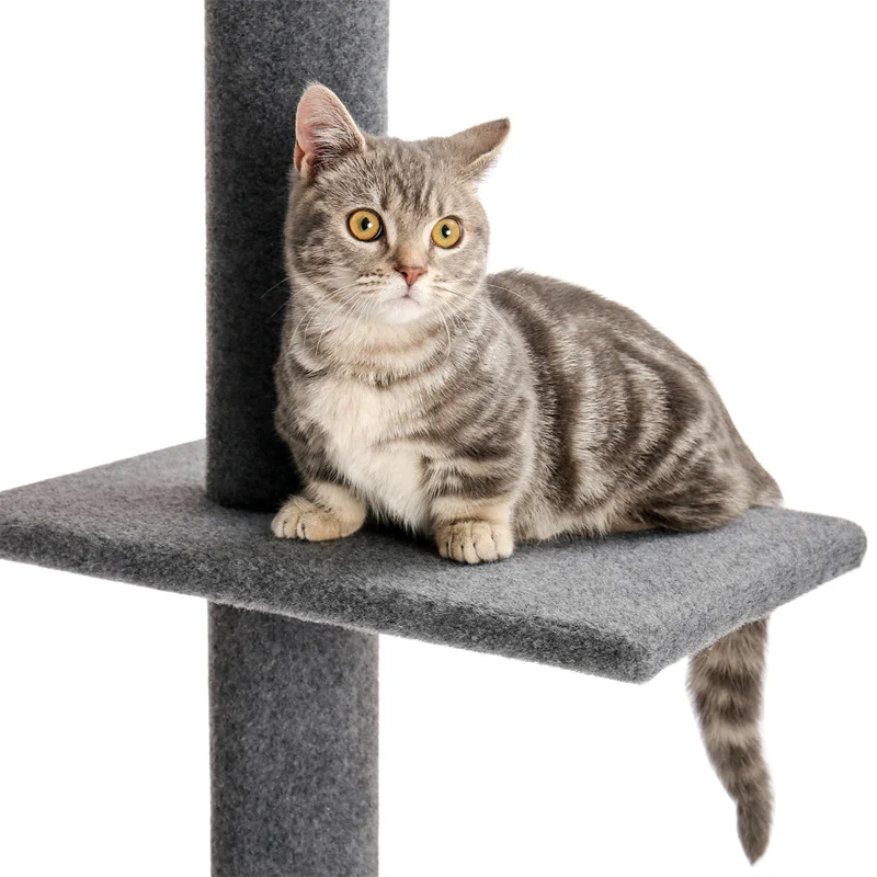 5-nível gato torre escalada brinquedos estruturas gato