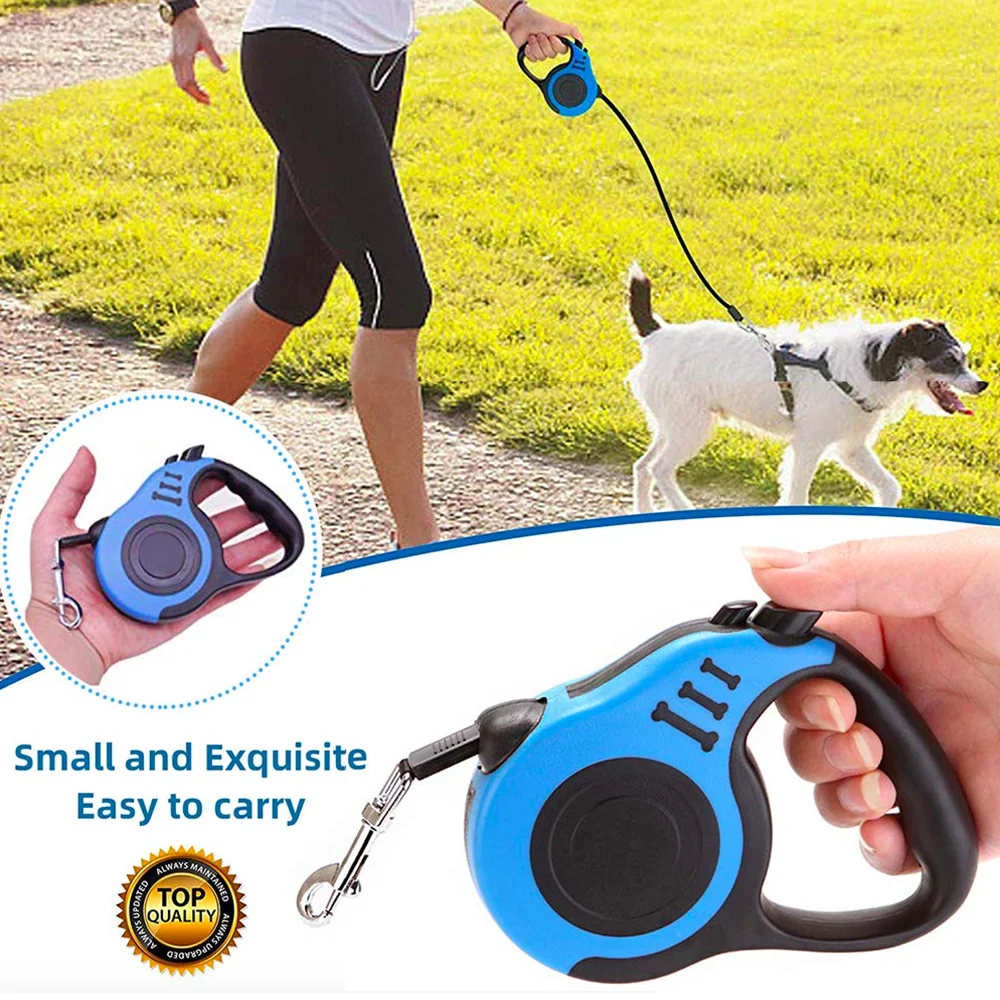 small dog extending leads