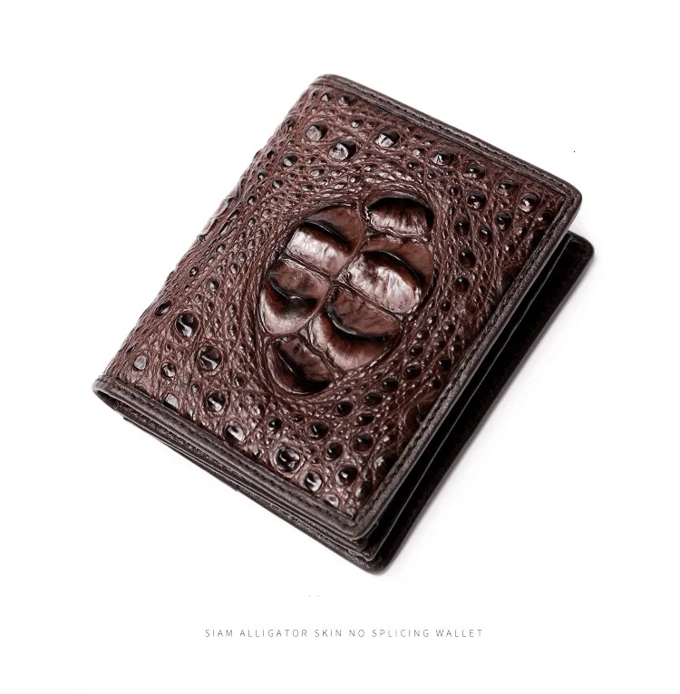 O1CN01fbnm3k23nRlOVw6dH_!!2591297300