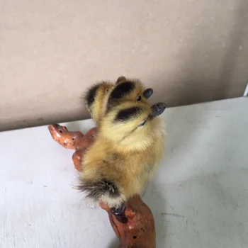 

Taxidermy duck 3 headed yellow duckling oddity homedeco gift,#a6