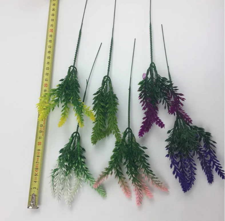 小5叉薰衣草 (9)