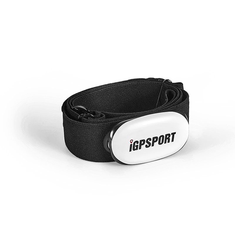 IGPSPORT велосипедный датчик скорости, датчик частоты вращения, монитор сердечного ритма, велосипедный муравей+ компьютерные аксессуары, датчик C61 SPD6 HR40 HR60 - Цвет: HR40