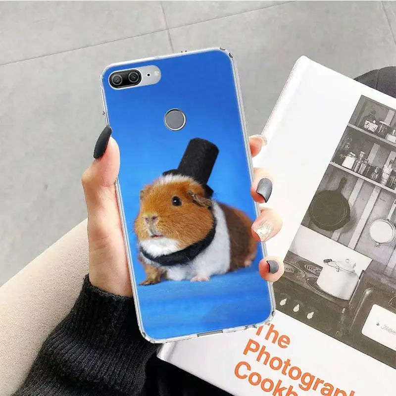 TR082-10 Гвинея чёрный футляр с рисунком поросёнка который животное синий чехол для huawei Honor 9 10 20 Lite рro 9X 8X 8A 8C фотоаппаратов моментальной печати 7S 7A 7C Y5 Y6 Y7 Y9 мягкий чехол для мобильного телефона c Co - Цвет: TR082-10