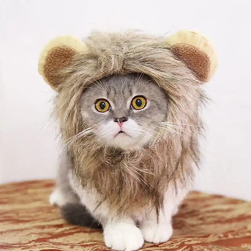 Drole Mignon Animal De Compagnie Costume Cosplay Lion Criniere Perruque Chapeau Pour Chat Halloween Noel Vetements Deguisement Avec Oreilles Automne Hiver Aliexpress