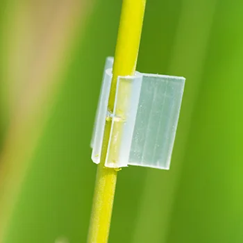 

200PCS Grafting Clips Plastic Durable Stalks Tomato Vegetables Vine Fixing Clips Grafting Clamp Grow Support Clips