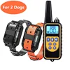 For 2 dogs Orange