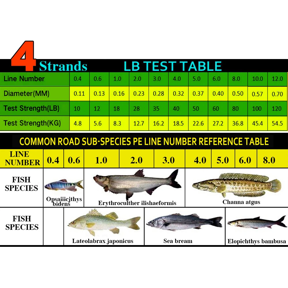 Braided Fishing Line Weight Guide by Species – FINS Braids