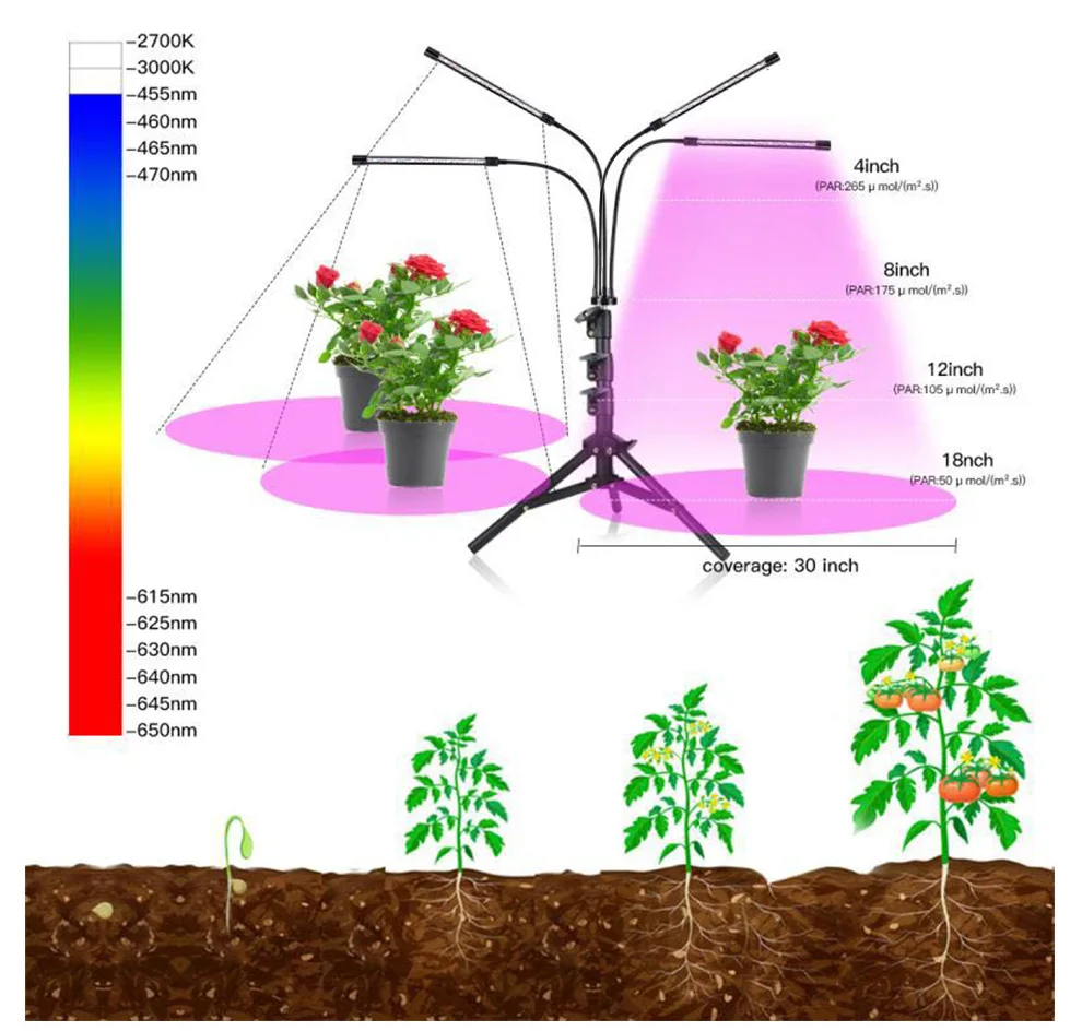 40W 60W 80W LED Grow Light Full Spectrum USB Phyto Lamp With 3 Modes Timing Function For Indoor Flowers Plants Growth Lighting